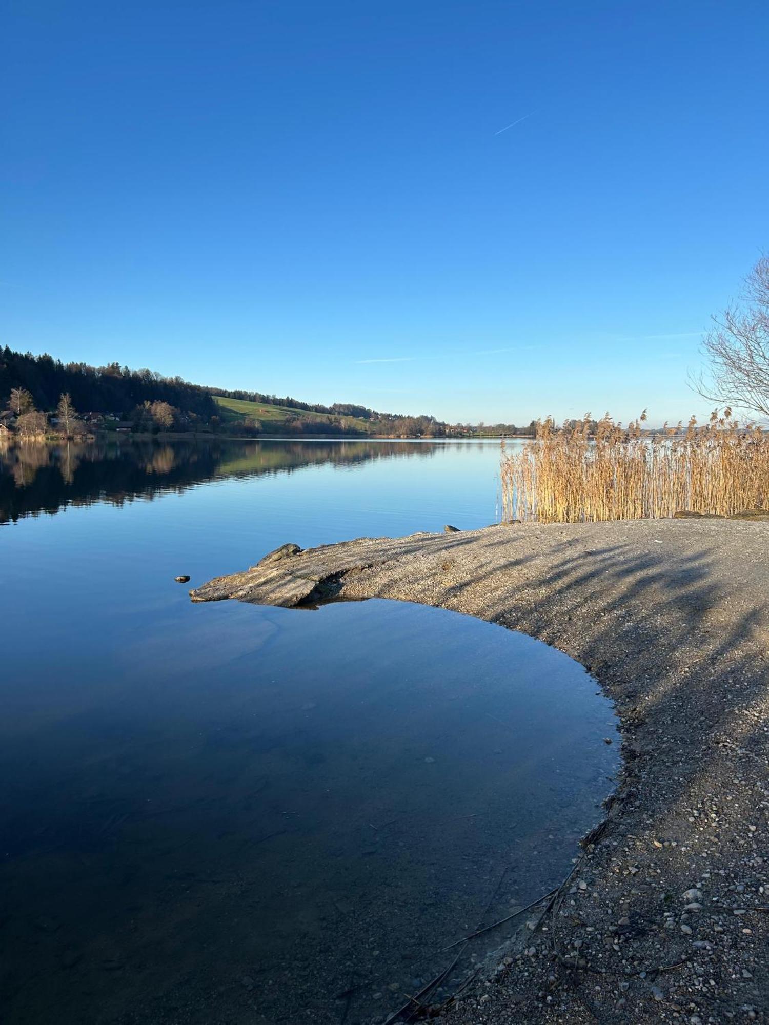 אוברטרום אם זי Ferienwohnungen Am See מראה חיצוני תמונה